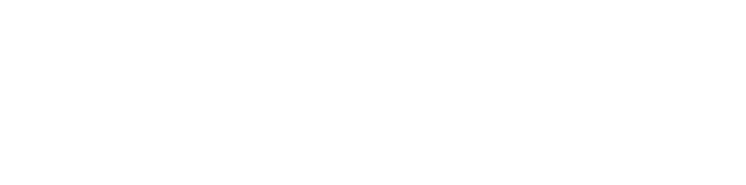 選總統